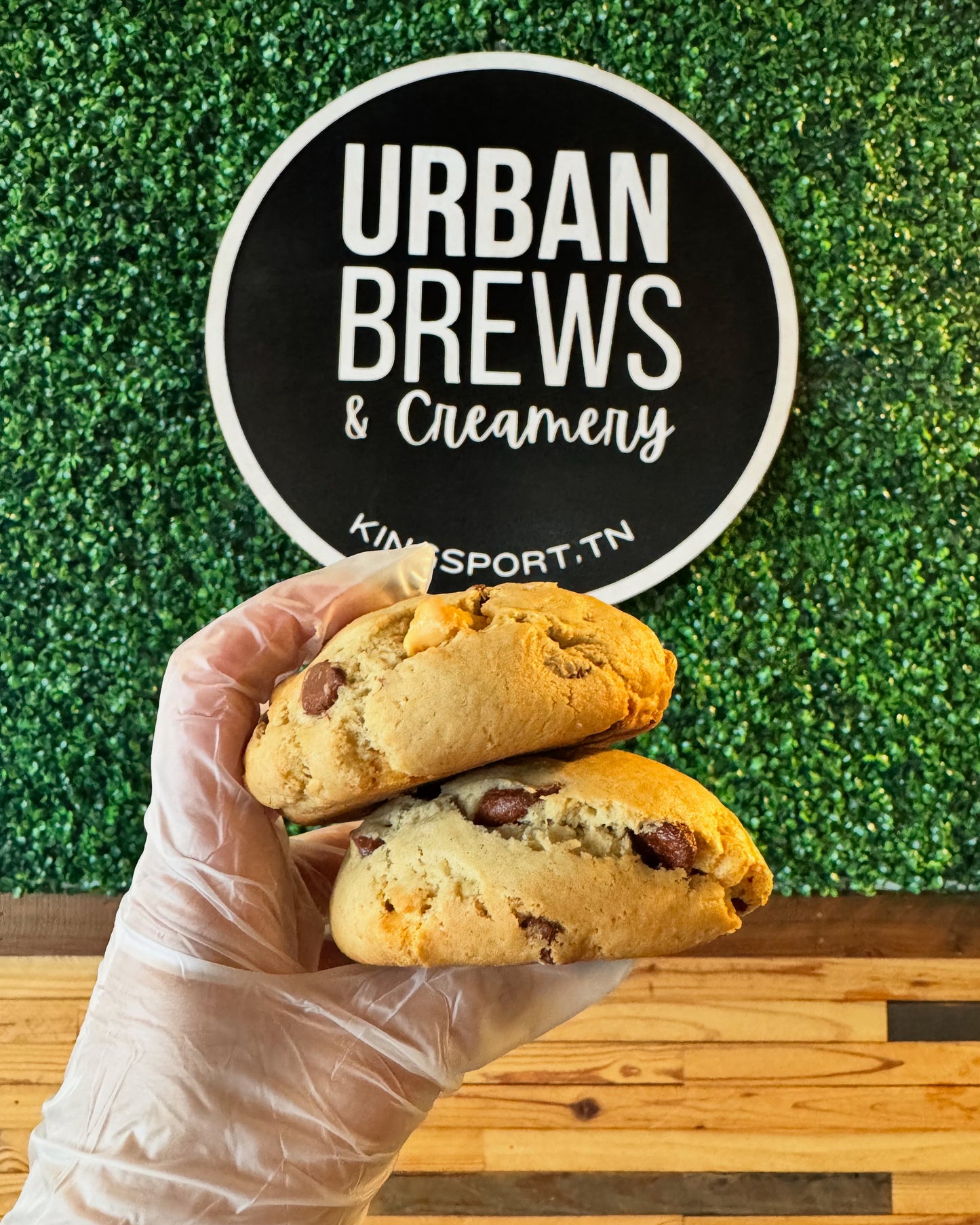 Gluten Free Chocolate Chip Cookie