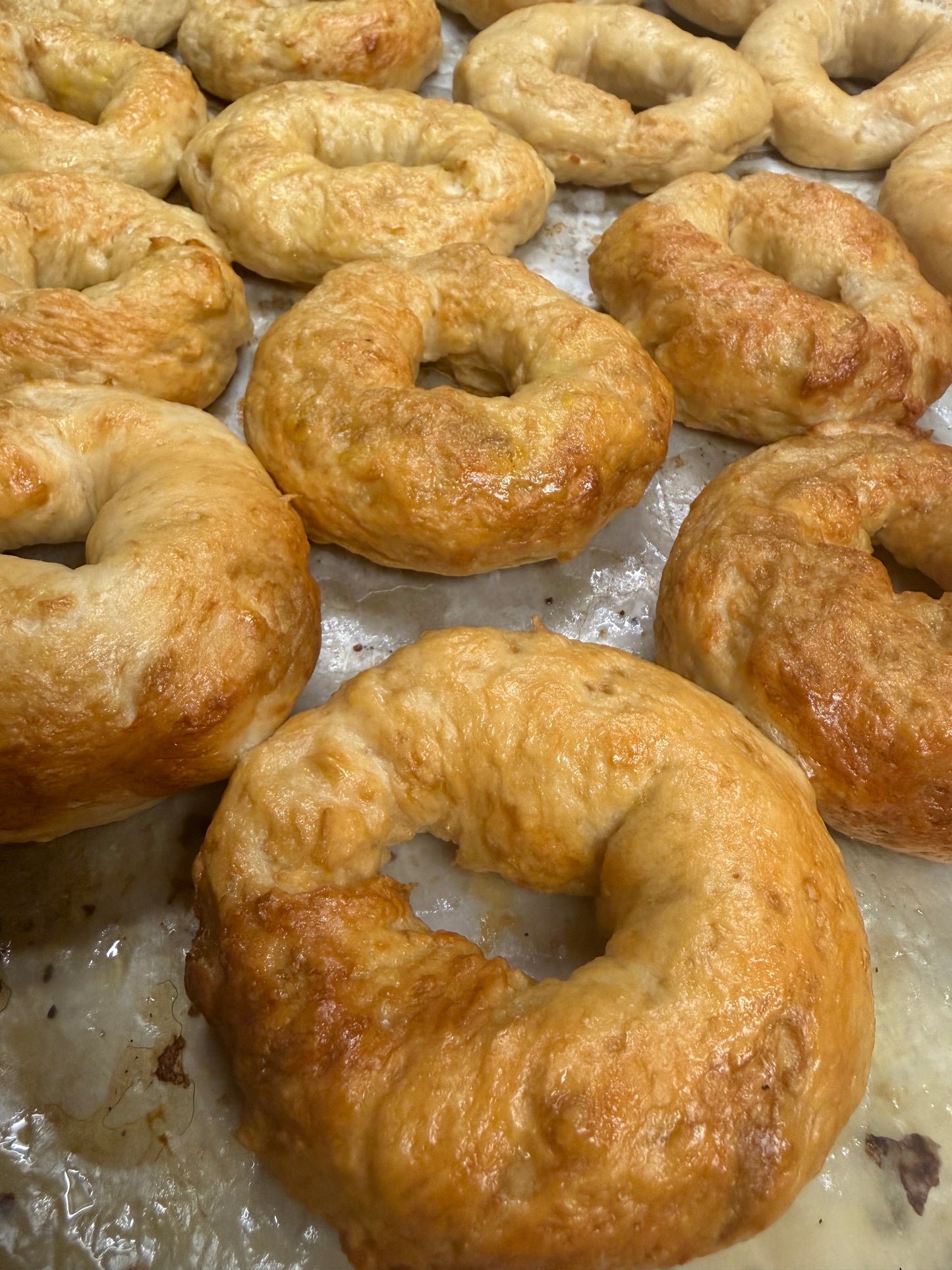Gluten Free Bagels