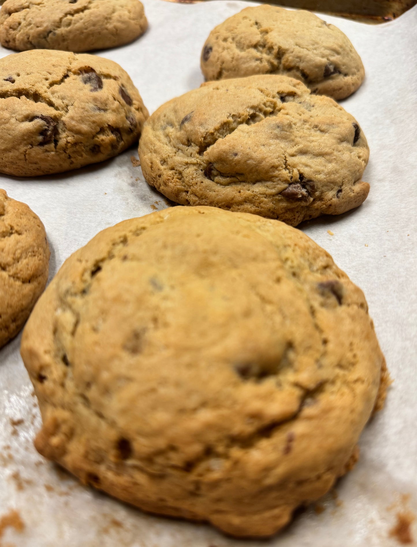 Gluten Free Chocolate Chip Cookie